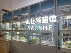 -Honey Bacca 哈尼芭卡高端萌宠(朝阳大悦城店)