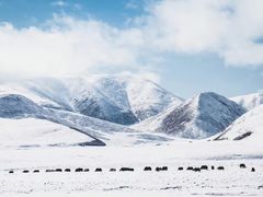 -祁连山·岗什卡雪峰景区