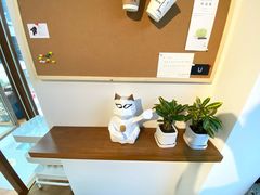 -Line 咖啡(石厦花园店)