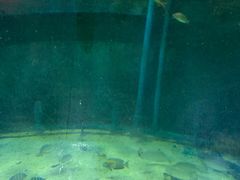 -北国之春国宴(乌兰察布店)