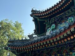 -香山公园