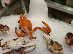 -南湖名都·景湖轩全日制餐厅·海鲜自助·东南亚风味·临湖而食