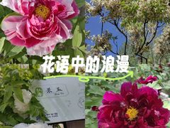 -仁和公园(顺义区)