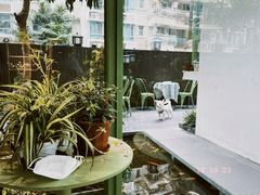 -绿房子方寸咖啡(星海名城店)
