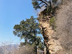 -北京上方山国家森林公园