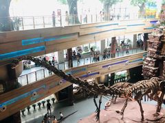 -安徽省地质博物馆