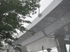 -丁香湖公园