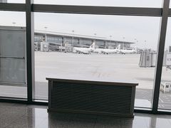 -青岛胶东国际机场