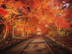 -醍醐寺