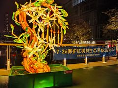 -福田红树林生态公园