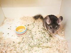 -龙猫仔乐园(惠福东路店)