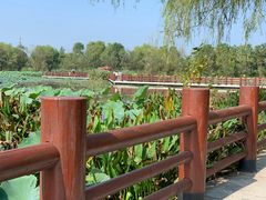 -长兴太湖图影湿地文化园