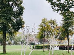 -橘子洲景区
