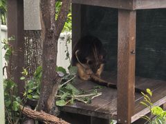 -可伦宾野生动物保护区