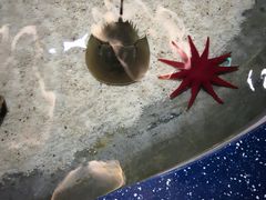 -福州罗源湾海洋世界旅游区