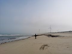 -长江澳风力发电景观区