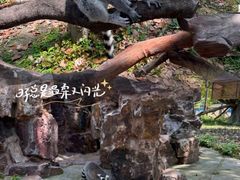 -上海野生动物园