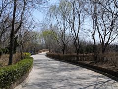 -塘沽森林公园