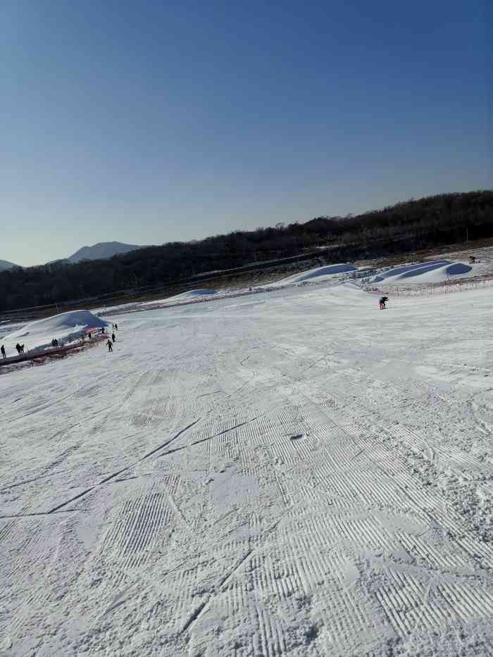 铁岭金峰滑雪场门票图片