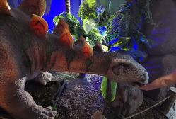 -恐龙探索乐园(磁器口店)