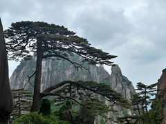 -黄山风景区