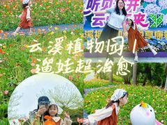 -云溪植物园