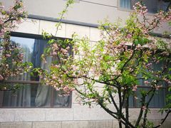 -南京国际会议大酒店