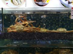 -宝燕壹号(徐汇店)