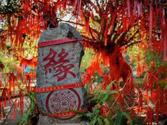 -墨江北回归线标志园
