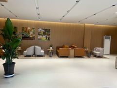 -XPEL旗舰店·汽车贴膜·隐形车衣·改色贴膜