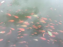 -金城公园