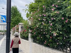 -上海外国语大学(虹口校区)