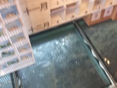 -猫的天空之城概念书店(丽江古城饮玉巷店)