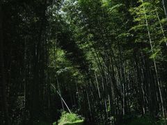 -千泷沟大瀑布旅游区