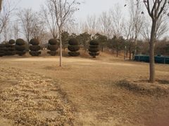-燕郊植物园