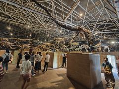 -世界恐龙谷景区