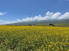 -青海湖国家重点风景名胜区