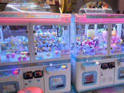 -卡通尼·Safari非洲探索乐园·生日会(金桥国际商业广场店)