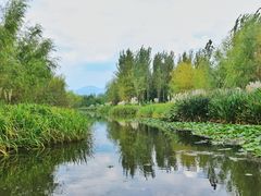 景点-西昌邛海湿地