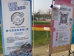 -秀丽东方