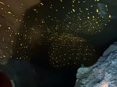-地心探险极地