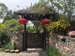 -鹅湖玫瑰文化园