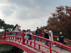 -东莞植物园