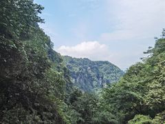 -碧峰峡风景区