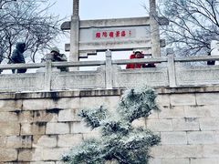 -紫金山山顶公园