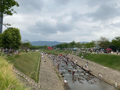 -光明小镇欢乐田园