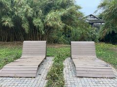-白鹭湾湿地公园