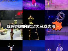 -武汉杂技厅