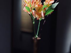 -觀芷隐轩