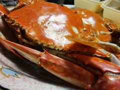 -金海湾海鲜排档(朱家尖店)